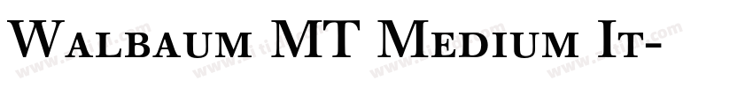 Walbaum MT Medium It字体转换